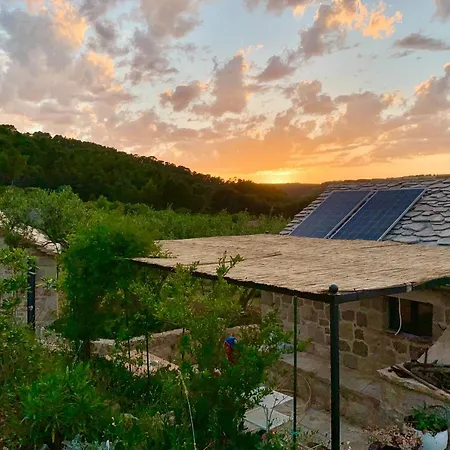 Eco Resort Starna