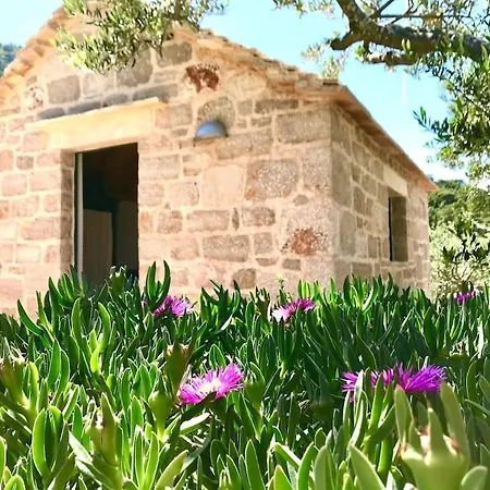 Eco Resort Starna Jelsa (Hvar)