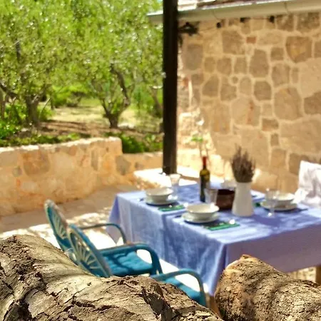 Eco Resort Starna